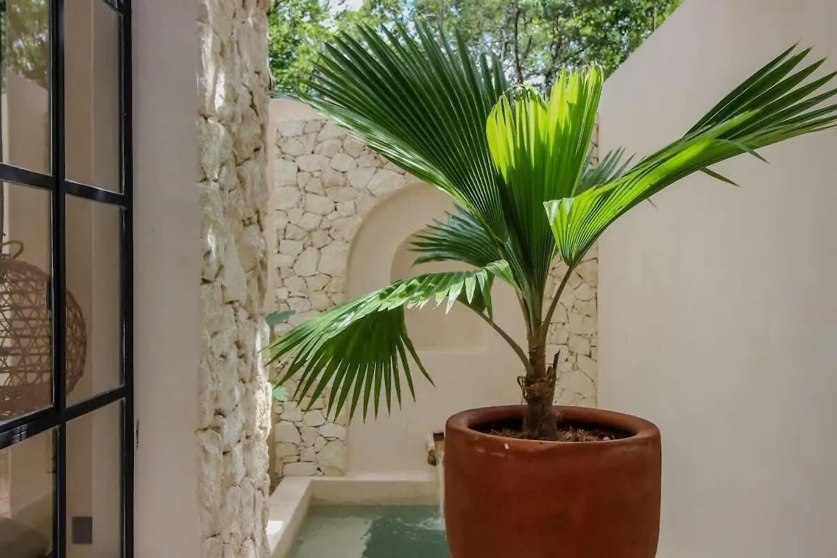 Luxury Villa With Private Pool In La Veleta Tulum 0*,
